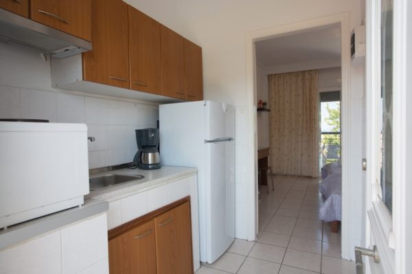 Front garden Mediterranean flowers - Theramvos Polychrono